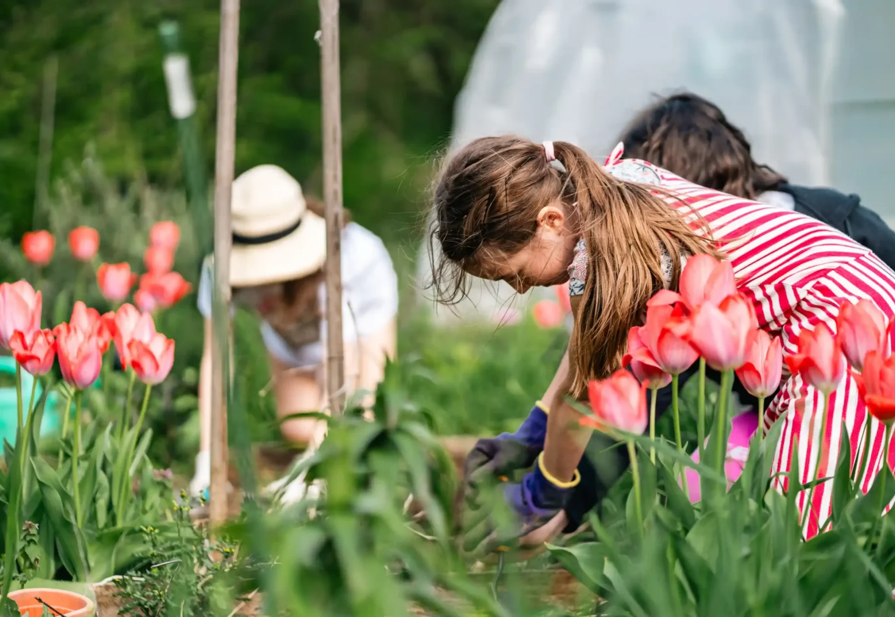 Élèves de l'élémentaire au jardin pédagogique de l'école