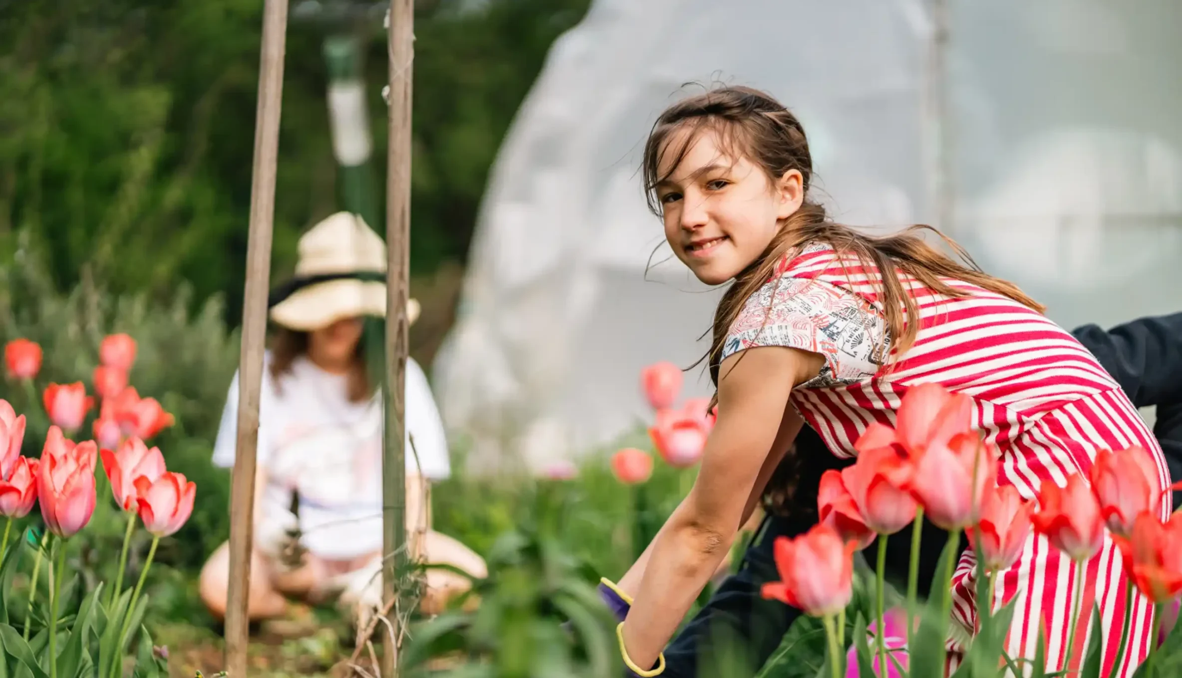 Une élève de l'élémentaire jardine parmi les tulipes