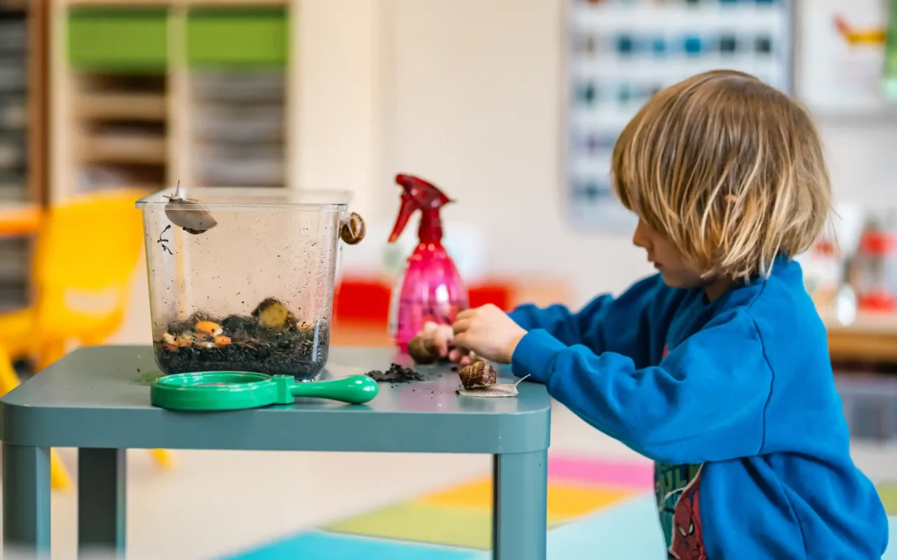 Un élève de maternelle arrose les plantations de la classe
