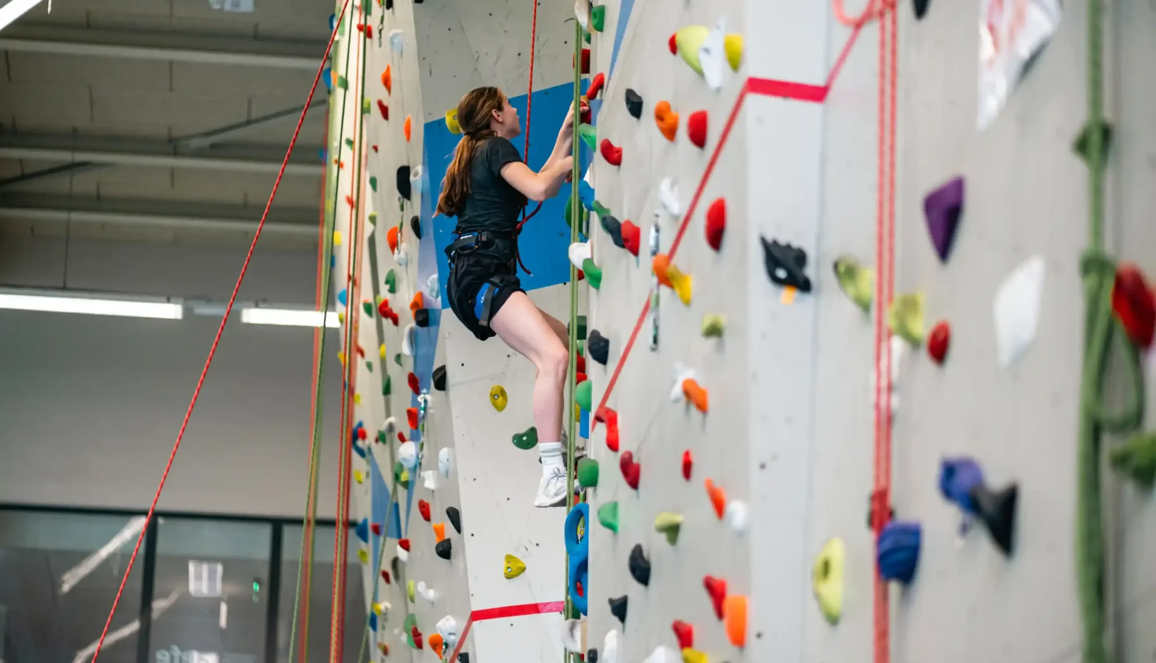 Une élève progresse sur le mur d'escalade du gymnase